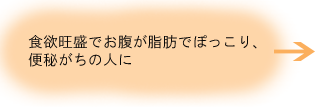 ¥À¥¤¥¨¥Ã¥È¡¢¥á¥¿¥Ü