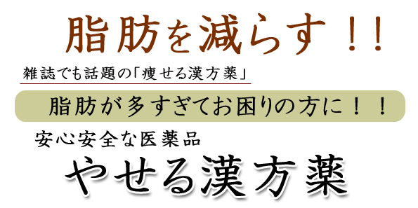 やせる漢方薬