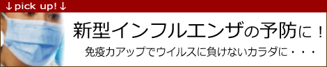 ��������ե륨��ͽ�ɤˡ�
