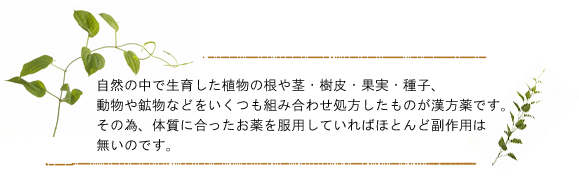 漢方薬の種類
