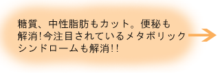 ¥á¥¿¥Ü¥ê¥Ã¥¯