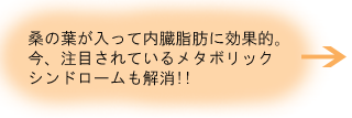 ¥á¥¿¥Ü¥ê¥Ã¥¯