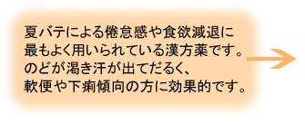 清暑益気湯(せいしょうえっきとう)