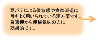 補中益気湯(ほちゅうえっきとう)