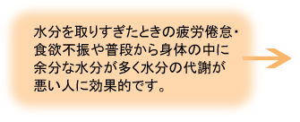 藿香正気散(かっこうしょうきさん)