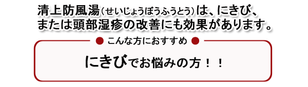 清上防風湯せいじょうぼうふうとう