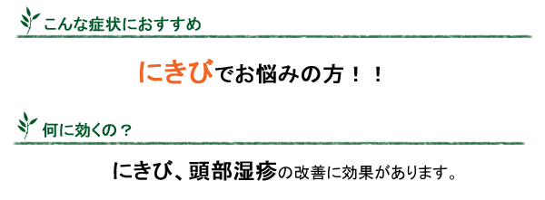 清上防風湯せいじょうぼうふうとう