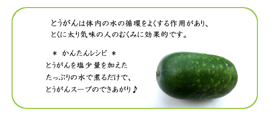 むくみにとうがん